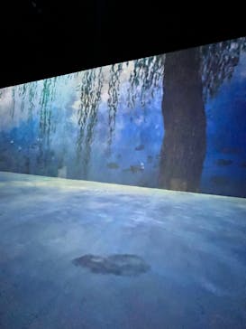 Immersive Museum OSAKA 2025に投稿された画像（2023/8/7）