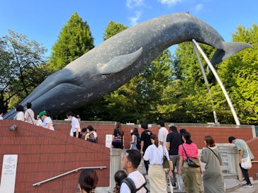 国立科学博物館に投稿された画像（2023/8/7）