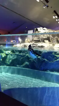 すみだ水族館に投稿された画像（2023/8/7）