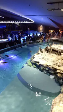 すみだ水族館に投稿された画像（2023/8/7）