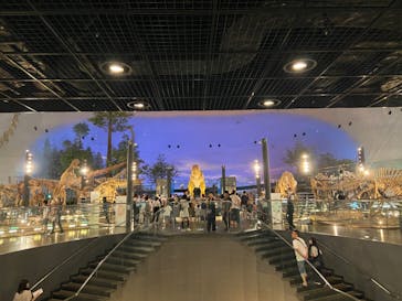 福井県立恐竜博物館に投稿された画像（2023/8/7）