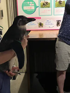 すみだ水族館に投稿された画像（2023/8/7）