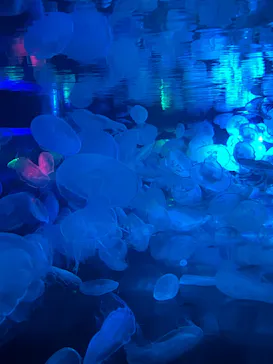 すみだ水族館に投稿された画像（2023/8/7）