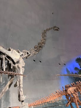 福井県立恐竜博物館に投稿された画像（2023/8/7）
