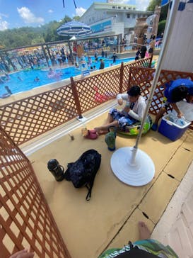 日本モンキーパークに投稿された画像（2023/8/7）