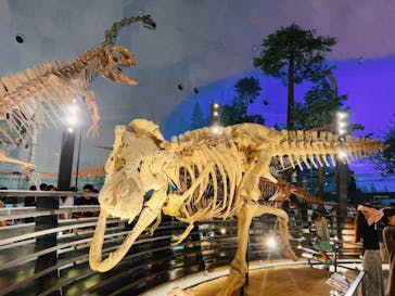 福井県立恐竜博物館に投稿された画像（2023/8/7）