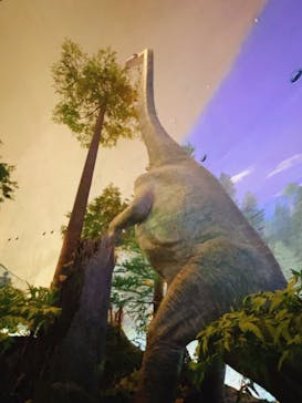 福井県立恐竜博物館に投稿された画像（2023/8/7）