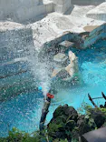 天王寺動物園に投稿された画像（2023/8/7）