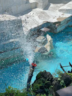 天王寺動物園に投稿された画像（2023/8/7）