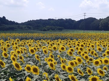 成田ゆめ牧場に投稿された画像（2023/8/7）
