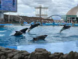 名古屋港水族館に投稿された画像（2023/8/7）