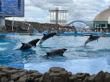 名古屋港水族館に投稿された画像（2023/8/7）