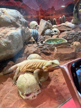 NARA IKIMONO MUSEUMに投稿された画像（2023/8/7）