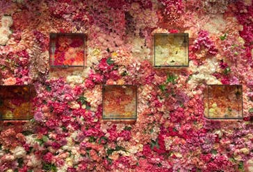 NARA IKIMONO MUSEUMに投稿された画像（2023/8/7）