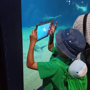 アクアワールド茨城県大洗水族館に投稿された画像（2023/8/7）