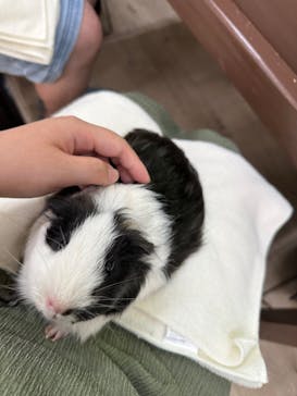 成田ゆめ牧場に投稿された画像（2023/8/7）