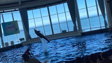 アクアワールド茨城県大洗水族館に投稿された画像（2023/8/7）