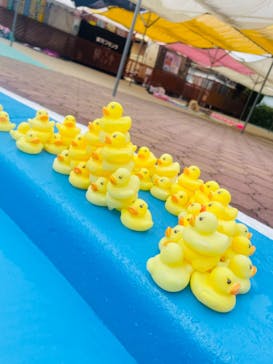 日本モンキーパークに投稿された画像（2023/8/7）