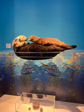 特別展「海　―生命のみなもと―」（国立科学博物館）に投稿された画像（2023/8/7）