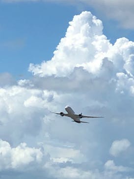 航空科学博物館に投稿された画像（2023/8/7）