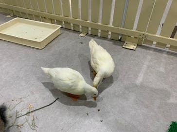 アニタッチアクアシティお台場に投稿された画像（2023/8/7）