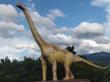 福井県立恐竜博物館に投稿された画像（2023/8/7）