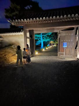 NAKED meets 二条城 2025 観月に投稿された画像（2023/8/7）