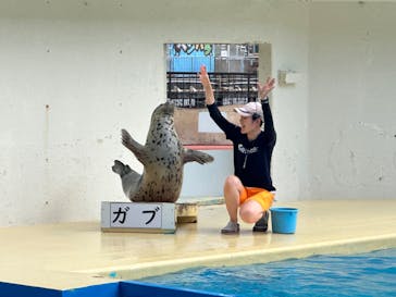 伊豆・三津シーパラダイスに投稿された画像（2023/8/7）