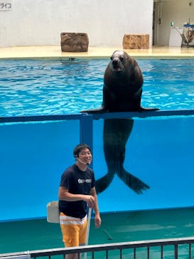 伊豆・三津シーパラダイスに投稿された画像（2023/8/7）