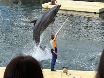伊豆・三津シーパラダイスに投稿された画像（2023/8/7）
