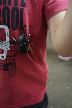 JOYPOLIS 特別イベントスペースに投稿された画像（2023/8/7）