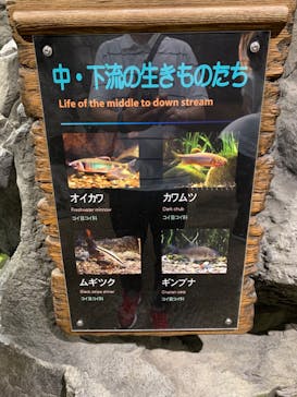 大分マリーンパレス水族館 「うみたまご」に投稿された画像（2023/8/7）