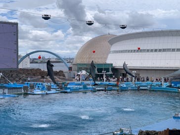 名古屋港水族館に投稿された画像（2023/8/7）