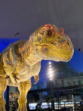 福井県立恐竜博物館に投稿された画像（2023/8/7）