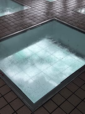 徳島県立 渦の道に投稿された画像（2023/8/7）