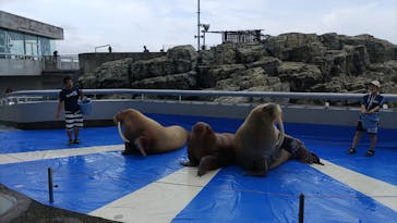 大分マリーンパレス水族館 「うみたまご」に投稿された画像（2023/8/7）