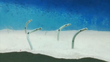 大分マリーンパレス水族館 「うみたまご」に投稿された画像（2023/8/7）