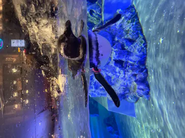 すみだ水族館に投稿された画像（2023/8/7）