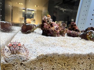 AOAO SAPPOROに投稿された画像（2023/8/7）