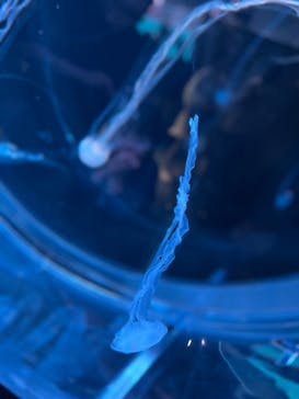 AOAO SAPPOROに投稿された画像（2023/8/7）