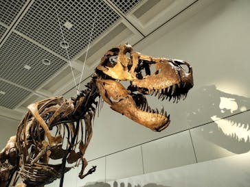 大阪市立自然史博物館に投稿された画像（2023/8/7）