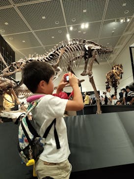 大阪市立自然史博物館に投稿された画像（2023/8/7）