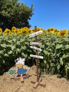 成田ゆめ牧場に投稿された画像（2023/8/7）