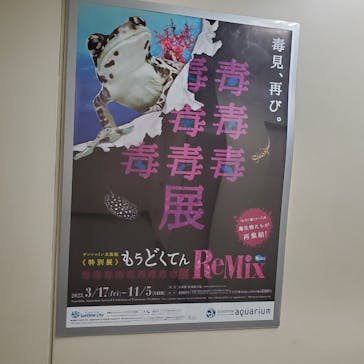 サンシャイン水族館に投稿された画像（2023/8/7）