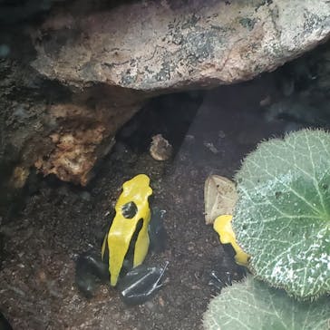 サンシャイン水族館に投稿された画像（2023/8/7）