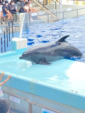 越前松島水族館に投稿された画像（2023/8/7）