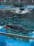 名古屋港水族館に投稿された画像（2023/8/8）