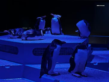 AOAO SAPPOROに投稿された画像（2023/8/7）