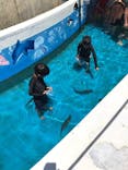 越前松島水族館に投稿された画像（2023/8/8）