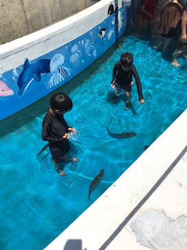 越前松島水族館に投稿された画像（2023/8/7）